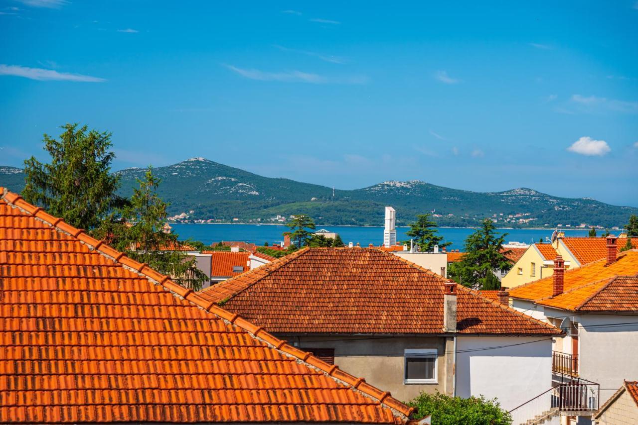 Visnja * Zadar